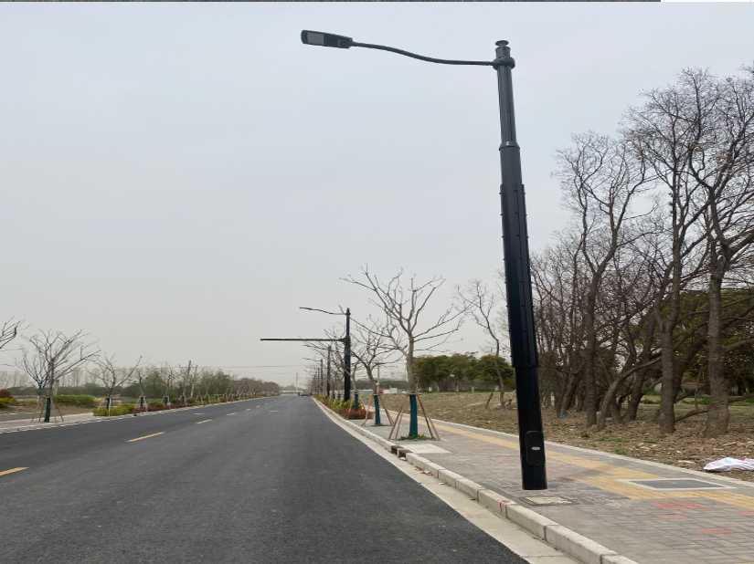 平舆县上海综合杆 太阳能路灯工程